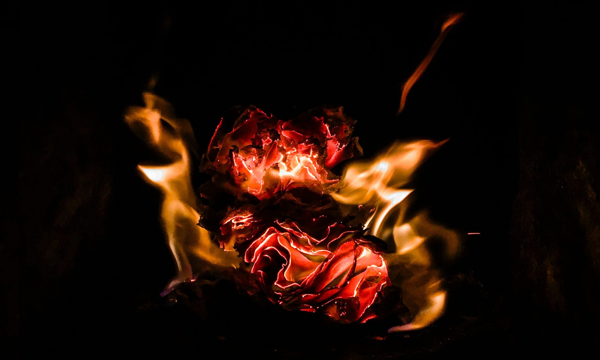 Fin Seigneur De La Flamme Exaltée Archives des Méditations & Respirations | Journal d'un théologien